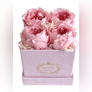 Montée de Rose Pink Peony Small Square
